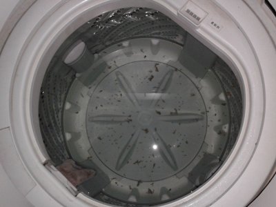 密云区美的洗衣机维修电话(全国24小时)